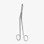 Dandy Dissecting Scissors