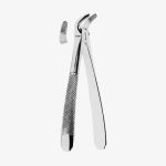Extracting Forceps