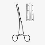 Mastin Muscular Fcps left 17cm