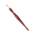 Pedicure Nail Care Tools