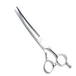 Professional Hair Cutting Shears