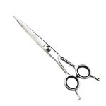 Professional Hair Cutting Shears