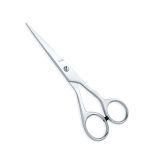 Professional Hair Cutting Shears
