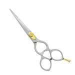 Professional Hair Cutting Shears