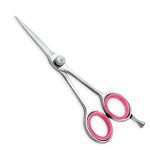 Professional Hair Cutting Shears